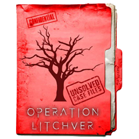 OPERATION "LITCHVER"